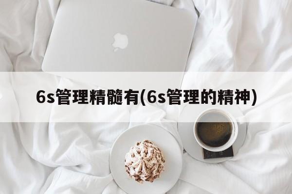 6s管理精髓有(6s管理的精神)